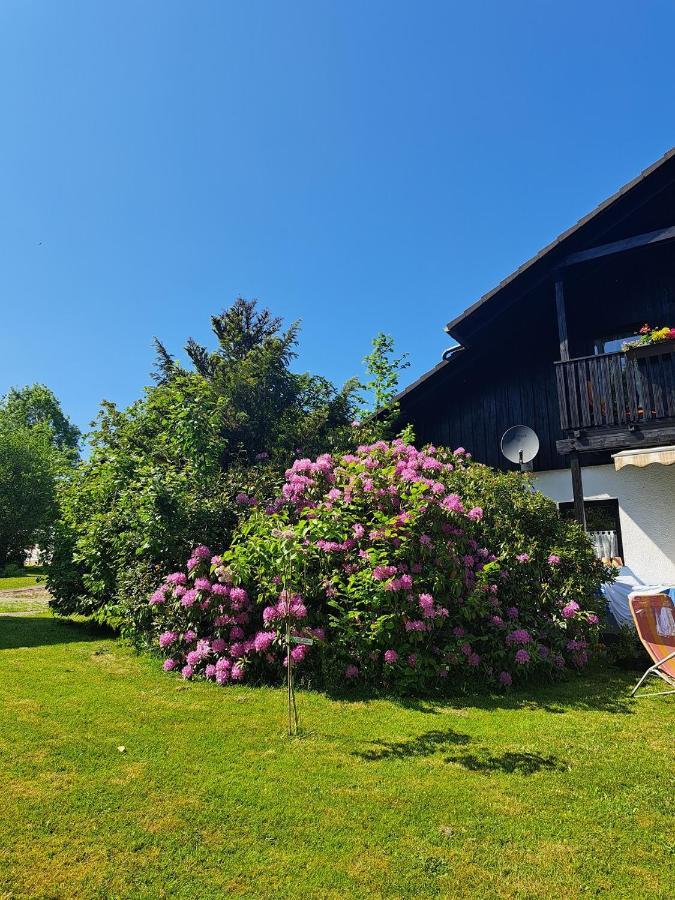 Ferienwohnung Martin Thalfang Dış mekan fotoğraf